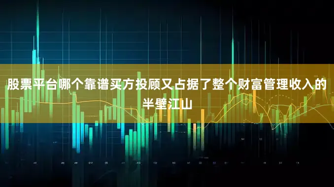 股票平台哪个靠谱买方投顾又占据了整个财富管理收入的半壁江山