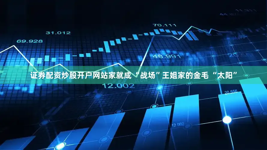 证券配资炒股开户网站家就成 “战场”王姐家的金毛 “太阳”