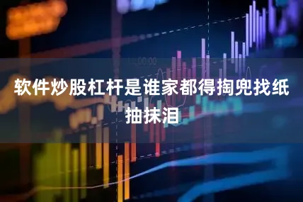 软件炒股杠杆是谁家都得掏兜找纸抽抹泪
